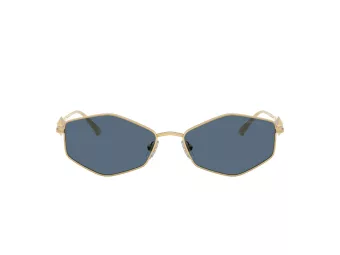 Jimmy Choo JC 4017 302380 55 Women sunglasses