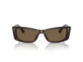 Jimmy Choo JC 5002BU 500273 55 Women sunglasses
