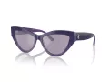Jimmy Choo JC 5004 50482S 55 Women sunglasses