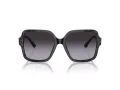 Jimmy Choo JC 5005 50418G 55 Women sunglasses
