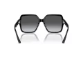 Jimmy Choo JC 5005 5041T3 55 Women sunglasses
