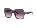 Jimmy Choo JC 5005 50447W 55 Women sunglasses
