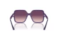 Jimmy Choo JC 5005 50447W 55 Women sunglasses