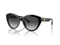 Jimmy Choo JC 5007 50008G 55 Women sunglasses
