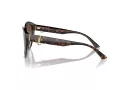 Jimmy Choo JC 5007 500213 55 Women sunglasses