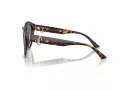 Jimmy Choo JC 5007 50028F 55 Women sunglasses