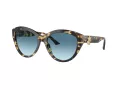 Jimmy Choo JC 5007 500419 55 Women sunglasses