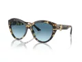 Jimmy Choo JC 5007 500419 55 Women sunglasses