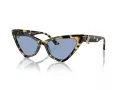 Jimmy Choo JC 5008 500472 55 Women sunglasses