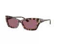 Jimmy Choo JC 5011U 50701A 55 Women sunglasses
