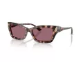 Jimmy Choo JC 5011U 50701A 55 Women sunglasses