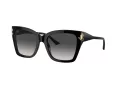 Jimmy Choo JC 5012 50008G 54 Women sunglasses
