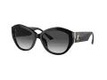 Jimmy Choo JC 5013U 50008G 55 Women sunglasses
