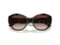 Jimmy Choo JC 5013U 500213 55 Women sunglasses