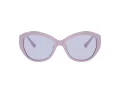 Jimmy Choo JC 5013U 50221A 55 Women sunglasses