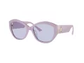 Jimmy Choo JC 5013U 50221A 55 Women sunglasses