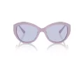 Jimmy Choo JC 5013U 50221A 55 Women sunglasses