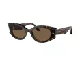 Jimmy Choo JC 5015U 500273 62 Women sunglasses