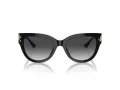 Jimmy Choo JC 5018U 50008G 54 Women sunglasses