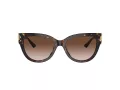 Jimmy Choo JC 5018U 500213 54 Women sunglasses