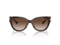 Jimmy Choo JC 5018U 500213 54 Women sunglasses