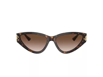 Jimmy Choo JC 5019 500213 55 Women sunglasses