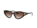 Jimmy Choo JC 5019 500213 55 Women sunglasses
