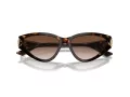 Jimmy Choo JC 5019 500213 55 Women sunglasses