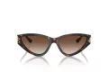 Jimmy Choo JC 5019 500213 55 Women sunglasses