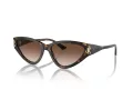 Jimmy Choo JC 5019 500213 55 Women sunglasses