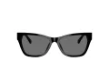 Jimmy Choo JC 5024HU 500081 55 Women sunglasses