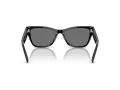 Jimmy Choo JC 5024HU 500081 55 Women sunglasses