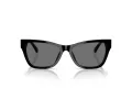 Jimmy Choo JC 5024HU 500081 55 Women sunglasses