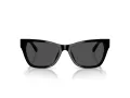 Jimmy Choo JC 5024HU 500087 55 Women sunglasses
