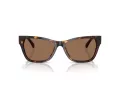 Jimmy Choo JC 5024HU 500273 55 Women sunglasses