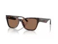 Jimmy Choo JC 5024HU 500273 55 Women sunglasses