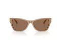 Jimmy Choo JC 5024HU 505873 55 Women sunglasses