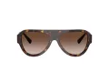 Jimmy Choo JC 5027 500213 55 Women sunglasses