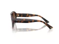 Jimmy Choo JC 5027 500213 55 Women sunglasses