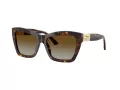 Jimmy Choo JC 5031 5002T5 54 Women sunglasses