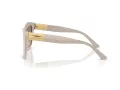 Jimmy Choo JC 5031 50336I 54 Women sunglasses