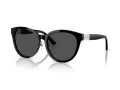 Jimmy Choo JC 5032D 500087 55 Women sunglasses