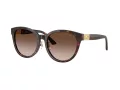 Jimmy Choo JC 5032D 50028G 55 Women sunglasses