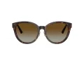 Jimmy Choo JC 5032D 5002T5 55 Women sunglasses