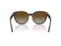 Jimmy Choo JC 5032D 5002T5 55 Women sunglasses