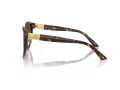 Jimmy Choo JC 5032D 5002T5 55 Women sunglasses
