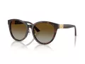 Jimmy Choo JC 5032D 5002T5 55 Women sunglasses