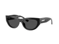 Jimmy Choo JC 5034BU 500087 54 Women sunglasses