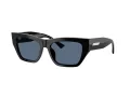 Jimmy Choo JC 5035B 500080 54 Women sunglasses