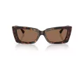 Jimmy Choo JC 5037BU 500273 54 Women sunglasses